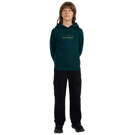 Felpa da bambino 4F Sweatshirt M1959