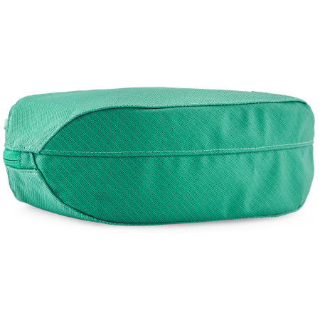 Custodia da viaggio Patagonia Black Hole Cube 3L