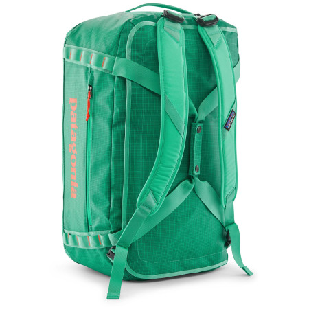 Borsa da viaggio Patagonia Black Hole Duffel 55L