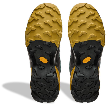 Scarpe da trekking da uomo Dynafit Transalper 2