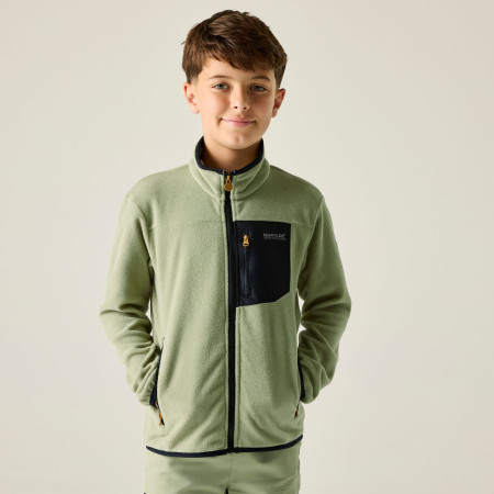 Felpa da bambino Regatta Junior Frankie F/Z Light Sage