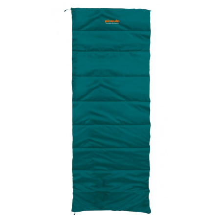 Sacco a pelo Pinguin Travel (2020) petrol