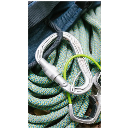 Moschettone Edelrid HMS Bulletproof Screw FG Eco