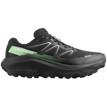 Scarpe da uomo Salomon Ultra Flow 2 Gore-Tex