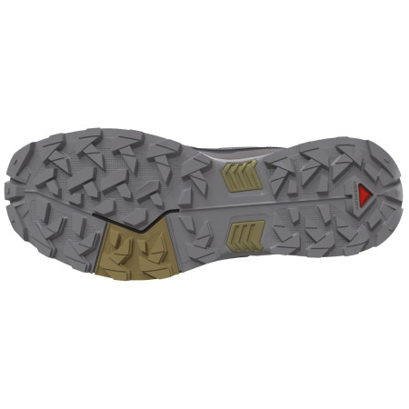 Scarpe da trekking da uomo Salomon X Ultra 5