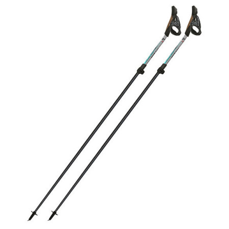 Bastoncini da nordic walking Fizan Tekno Race Impulse grigio Grey