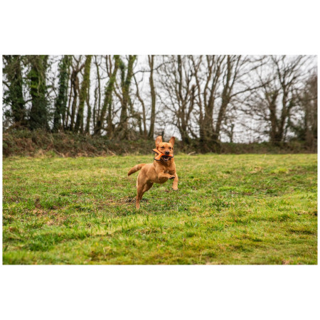 Giocattolo per cane Mountain Paws Rubber Throw Dog Toy