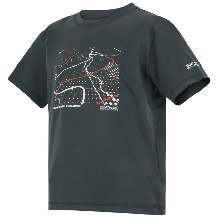 Maglietta da bambino Regatta Alvarado Seal Grey