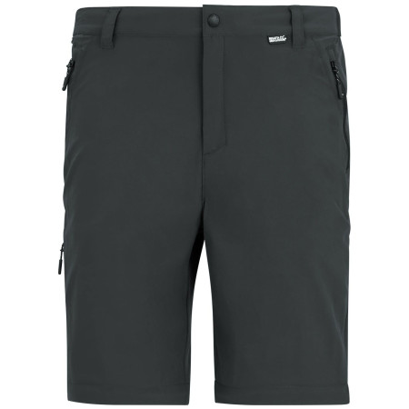Pantaloni da uomo Regatta Anti-Insect Travel Light Z/O Trousers