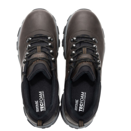 Scarpe da uomo Regatta Holcombe Classic Low
