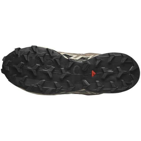 Scarpe da corsa da uomo Salomon Speedcross 6