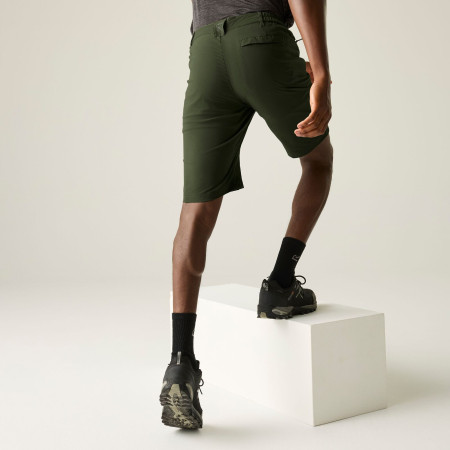 Pantaloncini da uomo Regatta Highton Shorts Long II