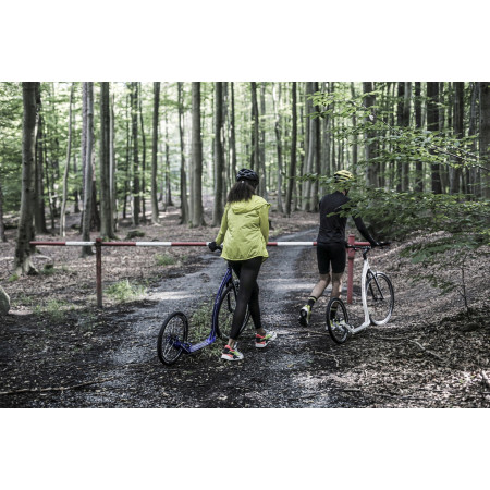 Monopattino Yedoo Trexx