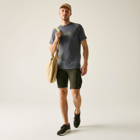 Pantaloncini da uomo Regatta Bendrick Shorts