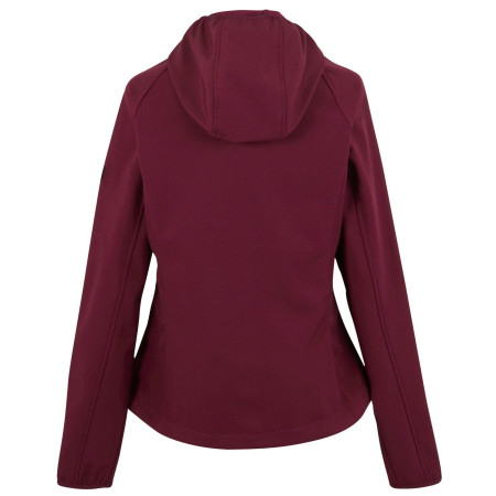 Giacca da donna Regatta Wmns Arec III