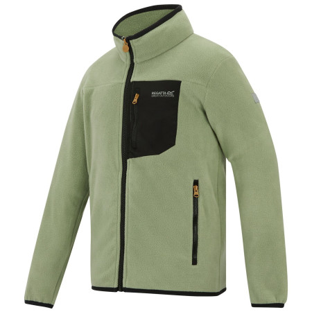 Felpa da bambino Regatta Junior Frankie F/Z Light Sage