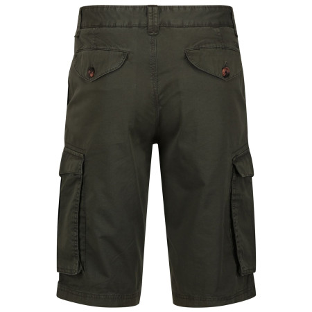 Pantaloncini da uomo Regatta Shorebay Short