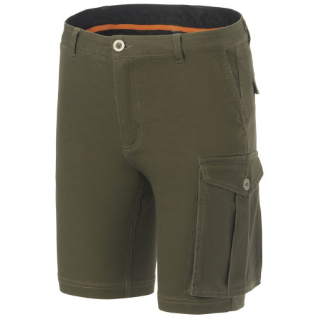 Pantaloncini da uomo Regatta Bendrick Shorts