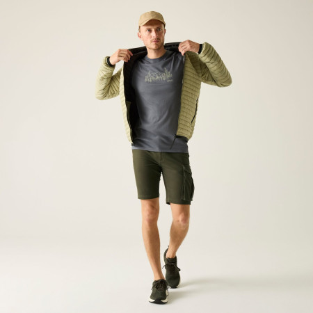 Pantaloncini da uomo Regatta Bendrick Shorts