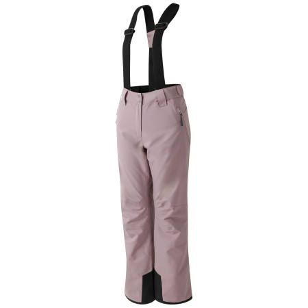 Pantaloni da sci da donna Dare 2b Diminish Pant