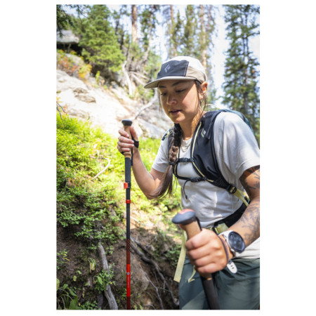 Bastoncini da trekking Black Diamond Pursuit Carbon FLZ