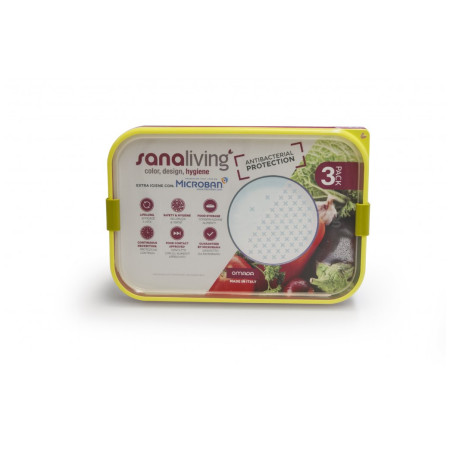 Scatola per alimenti Omada Sanaliving Box Set 3x 24x16,5x8cm/2L