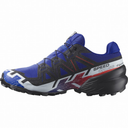 Scarpe da uomo Salomon Speedcross 6 Gore-Tex Equipe
