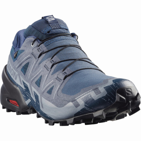 Scarpe da corsa da uomo Salomon Speedcross 6 Gore-Tex