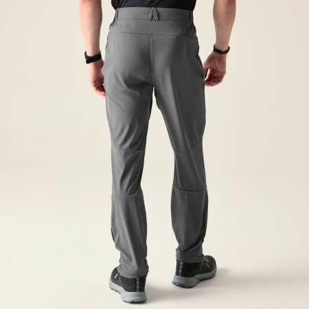 Pantaloni da uomo Dare 2b Torrek Lite Trouser
