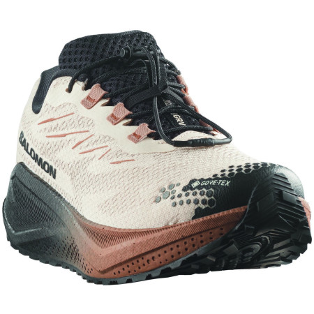 Scarpe da uomo Salomon Aero Blaze 4 Grvl Gtx