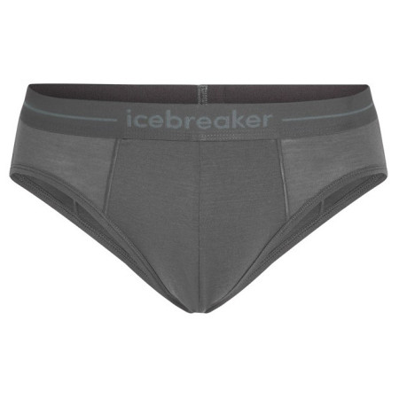 Slip da uomo Icebreaker Mens Anatomica Briefs
