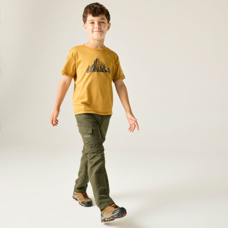 Pantaloni da bambino Regatta Sorcer Z/O Trousers III Treetop