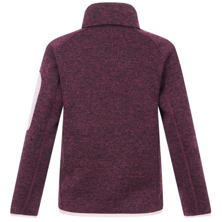 Felpa da bambino Regatta Junior Newhill Fig Powder Lilac