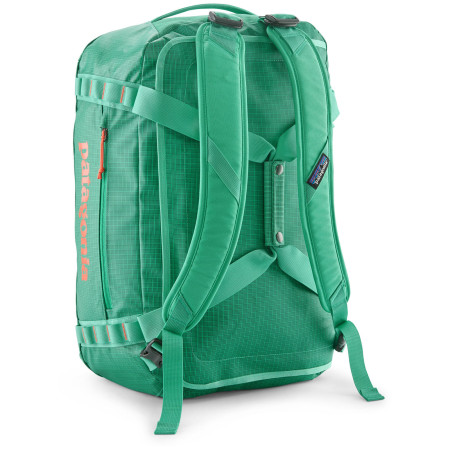 Borsa da viaggio Patagonia Black Hole Duffel 40L