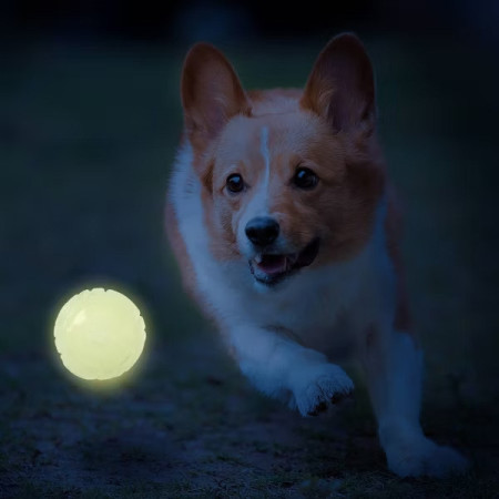 Giocattolo per cane Nerf Dog Set Lightning & Sonic