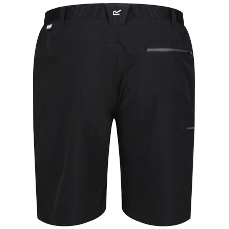 Pantaloncini da uomo Regatta Xert Stretch Shorts III