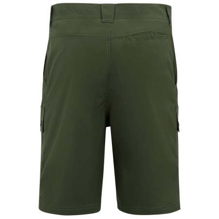 Pantaloncini da uomo Regatta Arlery Shorts