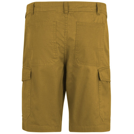 Pantaloncini da uomo Regatta Ruwan Shorts