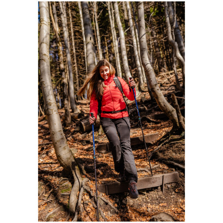 Bastoncini da trekking Warg Explorer Antishock