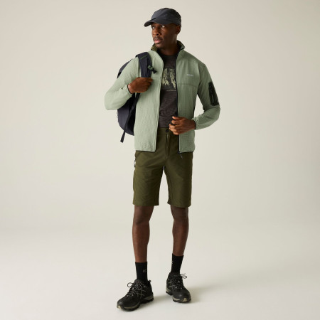 Felpa da uomo Regatta Baslinn