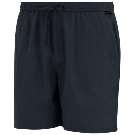 Pantaloncini da uomo Regatta Hadlin Shorts