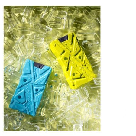 Inserti di raffreddamento Pinnacle Ice Bricks 2pcs 600 ml