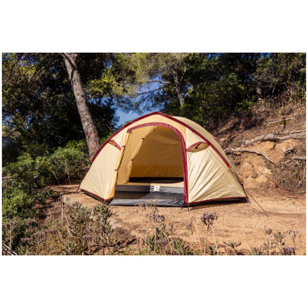 Tenda da trekking Coleman Darwin Summer 4 Plus