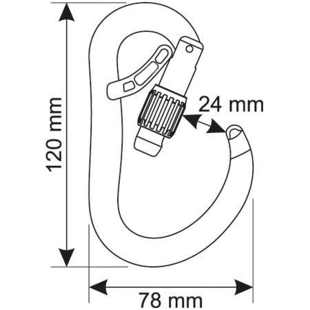 Moschettone Camp Atom Belay Lock