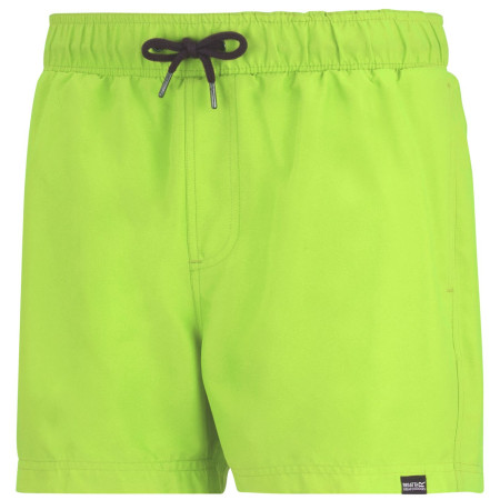 Costume da bagno da uomo Regatta Mawson Swim Shorts III