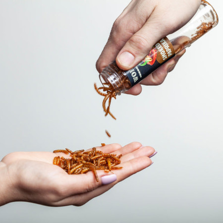 Vermi commestibili Sens Set regalo da 4 gusti