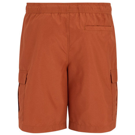 Costume da bagno da uomo Regatta Blanmont Swim Short