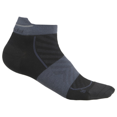 Calzini da donna Icebreaker W Mer Run+ Ultralight Micro