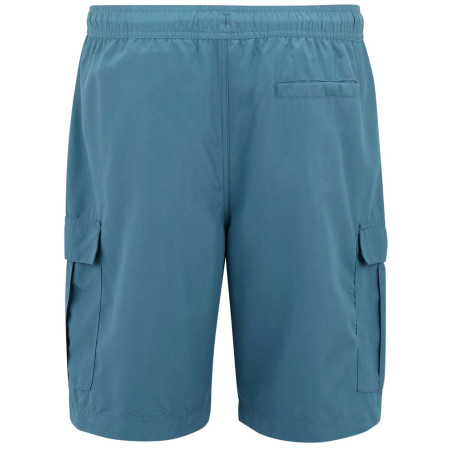 Costume da bagno da uomo Regatta Blanmont Swim Short