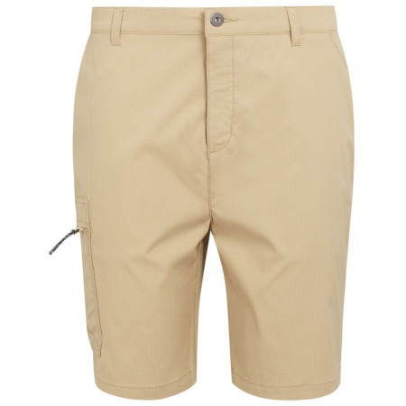 Pantaloncini da uomo Regatta Dalry Short beige Oat